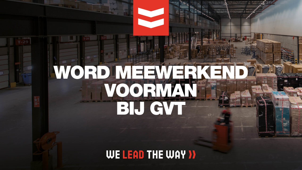 GVT Group of Logistics B.V. TILBURG afbeelding 6
